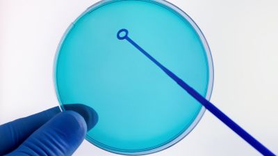 Более 60% региональных минздравов прекратили раскрывать данные об эффективности программ ЭКО