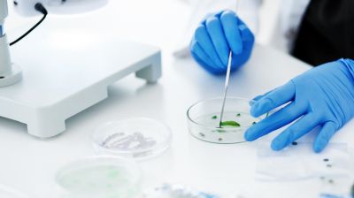 Российские ученые создали первый в мире препарат от гепатита B на основе CRISPR