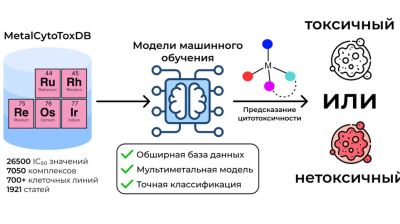 В России создали базу данных по цитотоксичности металлов для онкологических исследований
