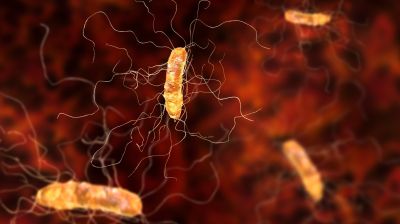 Противодиарейные средства повышали риск развития связанной с Clostridioides difficile инфекции