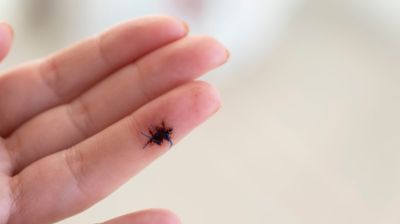 Отказы клиник в прививках от клещевого энцефалита вынесут на уровень Конституционного суда
