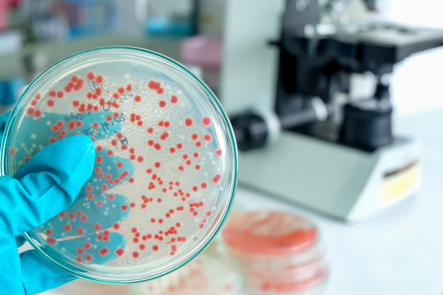 На МКС обнаружены бактерии с множественной лекарственной устойчивостью