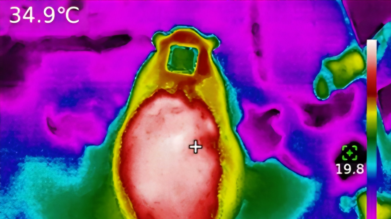 Имплантаты с редкоземельными металлами вызывают проблемы с печенью и почками