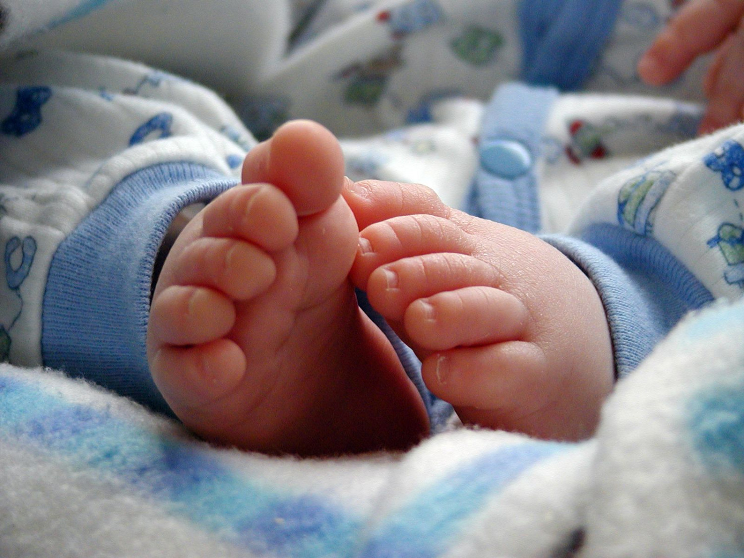 Новорожденный малыш ножки
