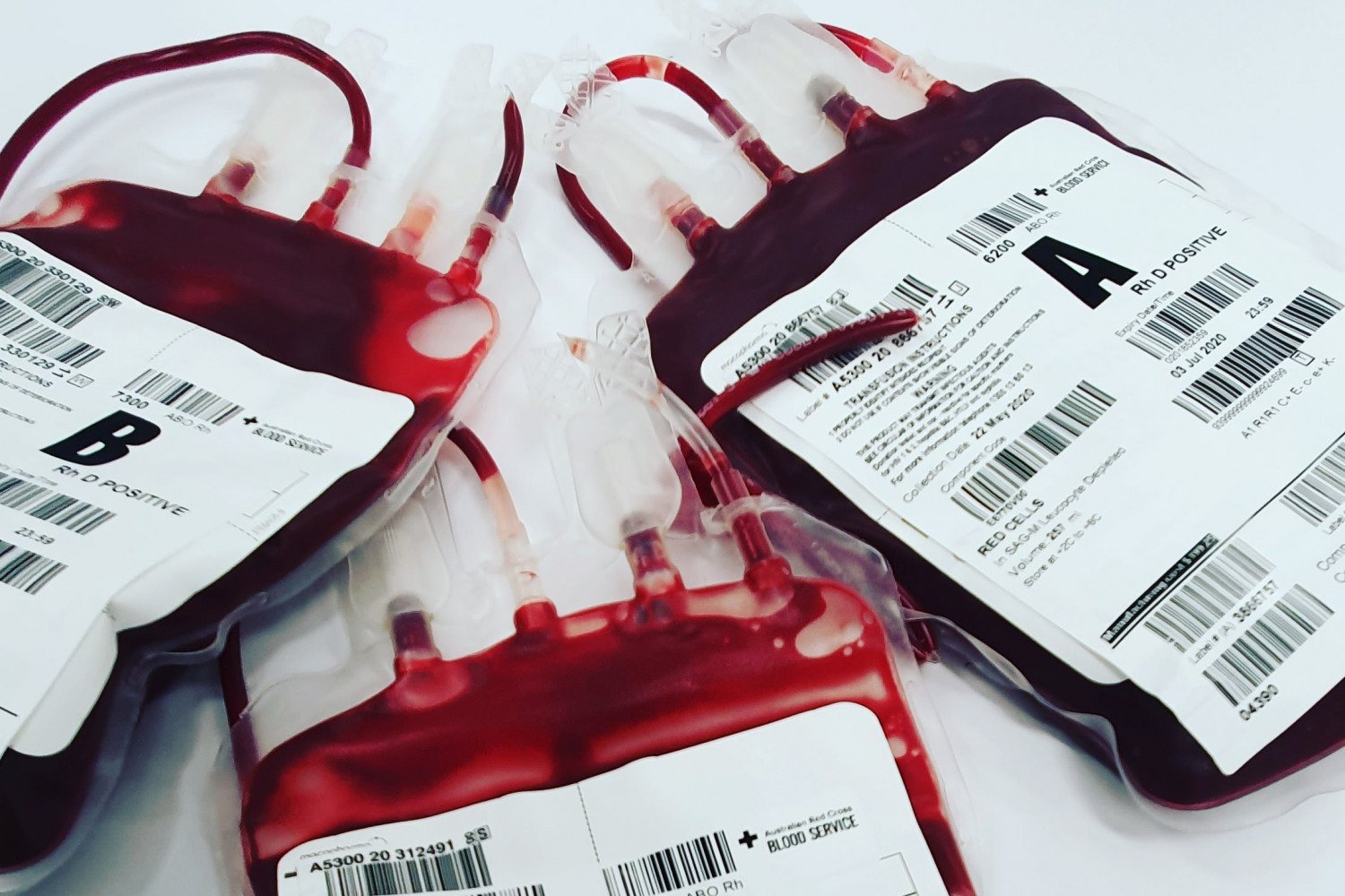 Кис крови. Компоненты крови для переливания. Менеджмент крови.
