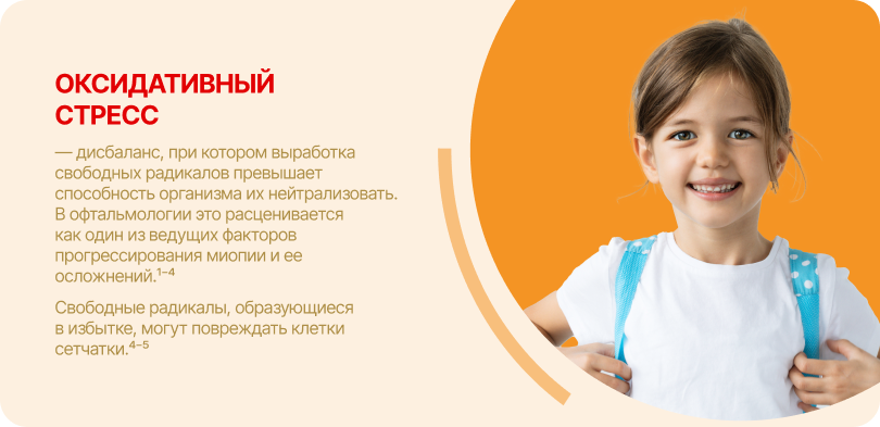 card3-1.png (186 KB)