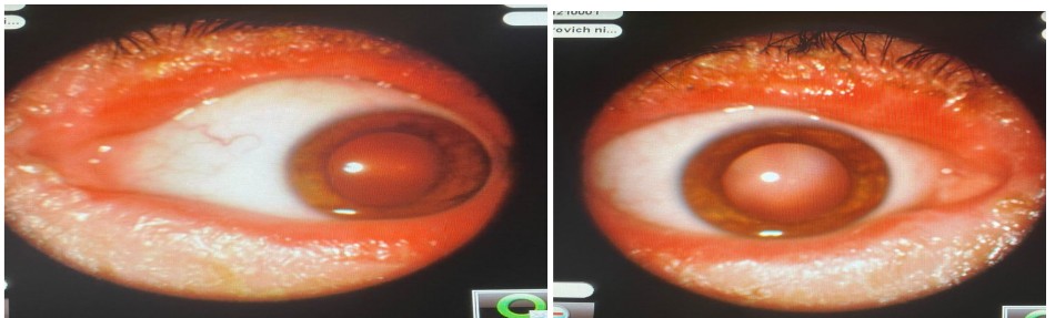 screenshot_21.jpg (57 KB)