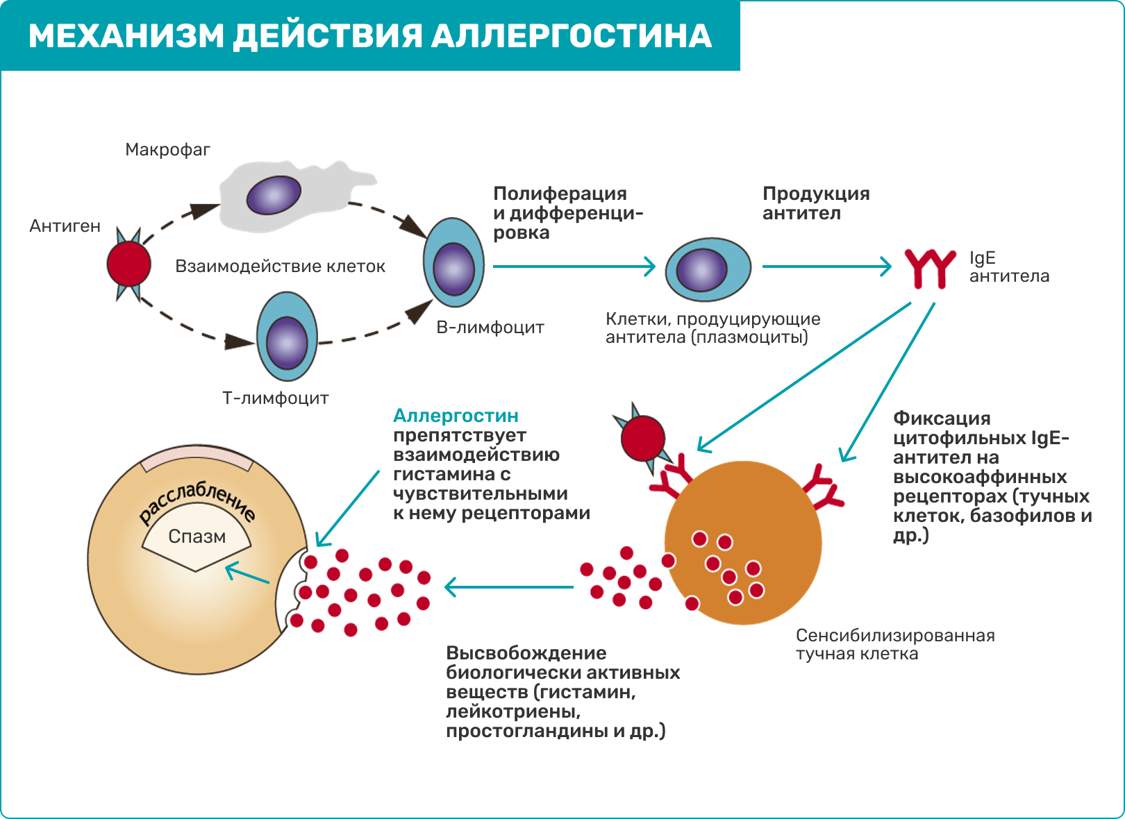 Аллергостин аналоги. Патогенез поллиноза. Аллергостин. Схема лечения поллиноза. Гистаминовый комплекс.