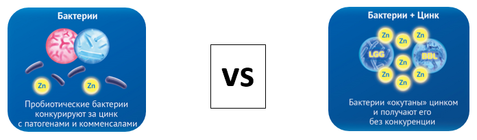 02a.png (113 KB)