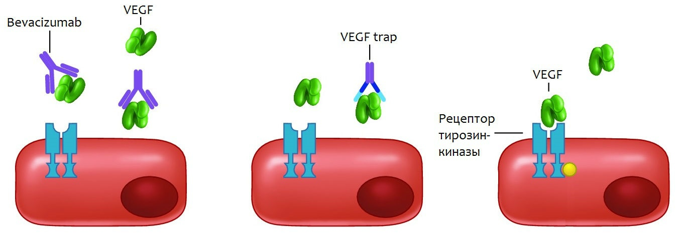 risunok165.png (314 KB)