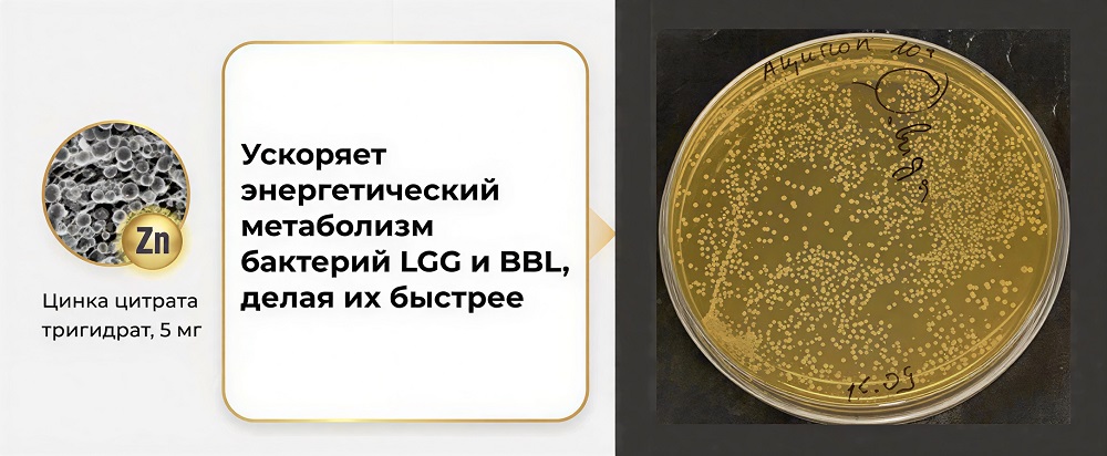 22atsipol+v+statyu+in+vitro(1).jpg (138 KB)