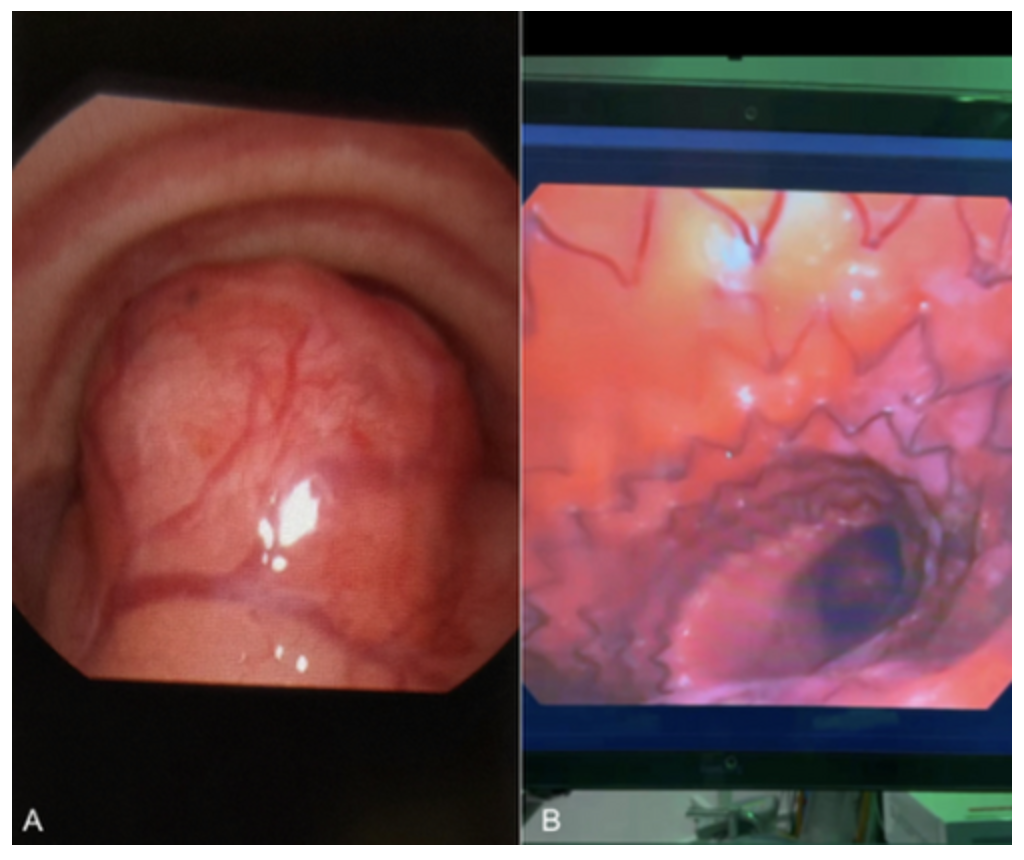 snimok_ekrana_2026-02-04_v_14.26.10.png (1004 KB)