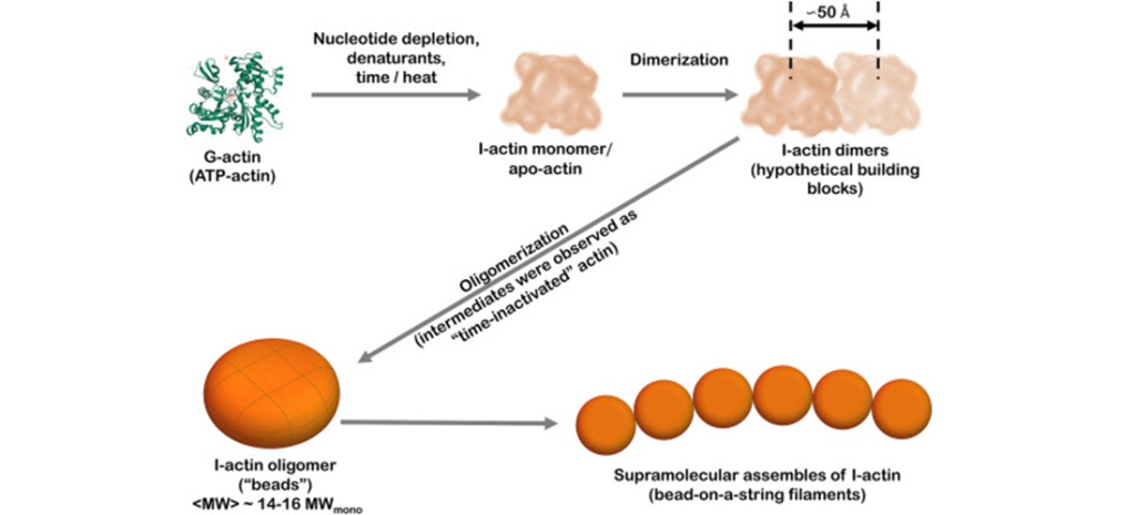 a2lzxmso4fptt6f6ua5kdbv9waoj5fkb.jpg (143 KB)